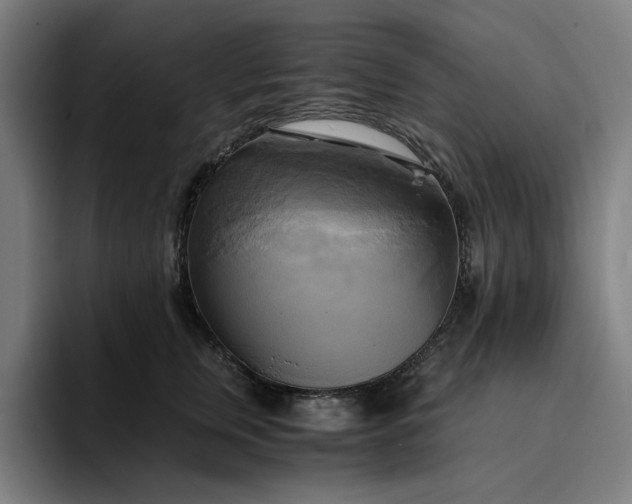 X0000094370759200711162110