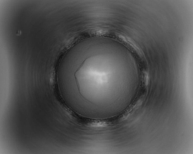 X0000094370760200711162110