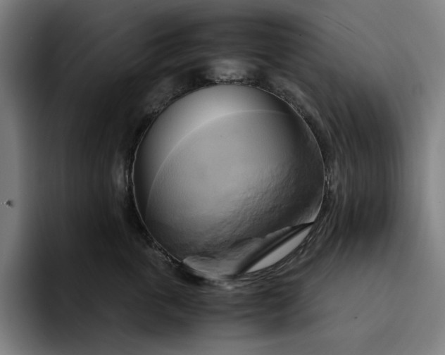 X0000094370763200711162110