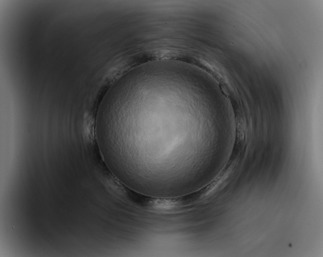 X0000094370766200711162110