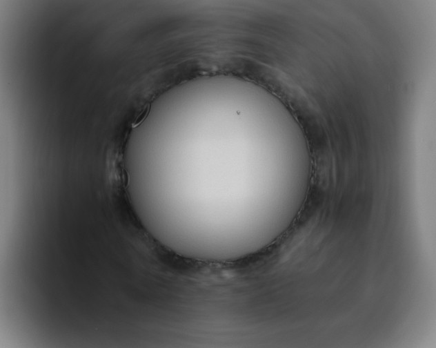 X0000094370770200711162110