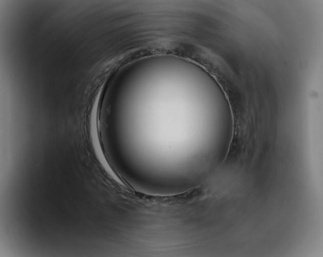 X0000094370773200711162110