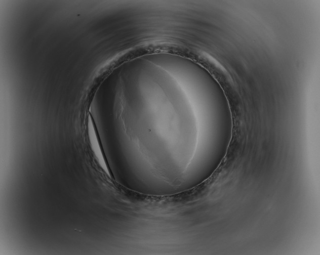 X0000094370775200711162110
