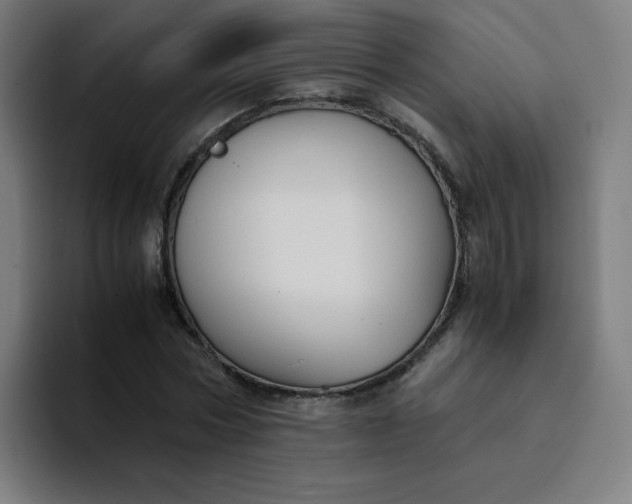 X0000094370778200711162110