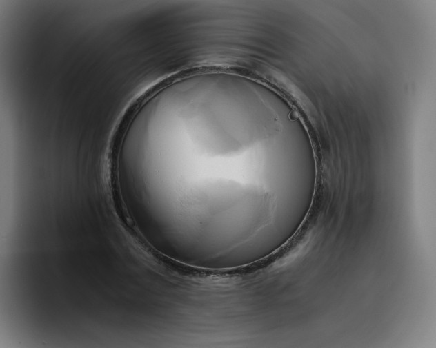 X0000094370779200711162110