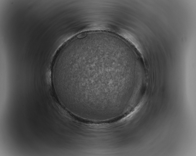 X0000094370781200711162110