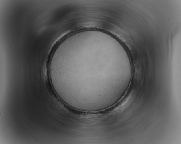 X0000094370782200711162110
