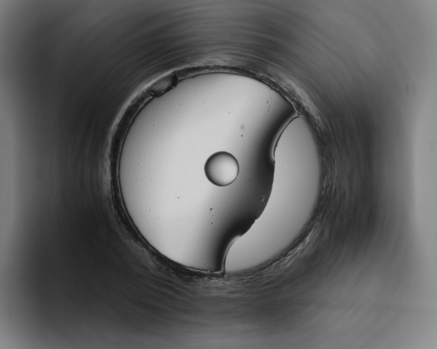 X0000094370784200711162110