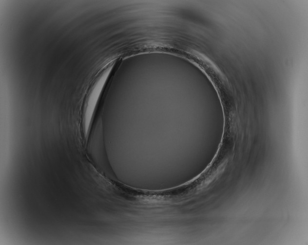 X0000094370785200711162110