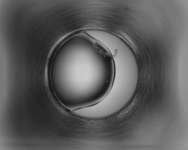 X0000094370788200711162110