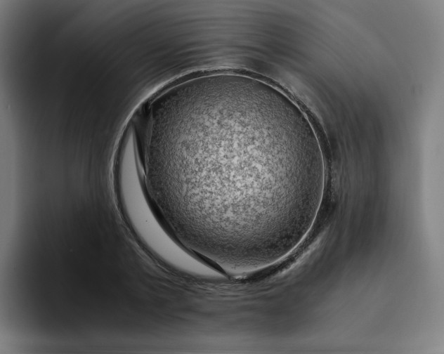 X0000094370789200711162110