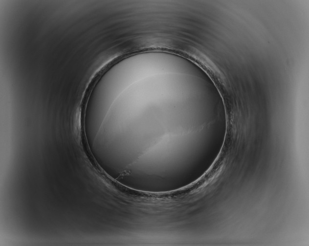 X0000094370790200711162109