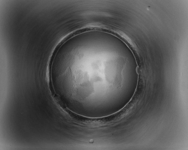 X0000094370791200711162109