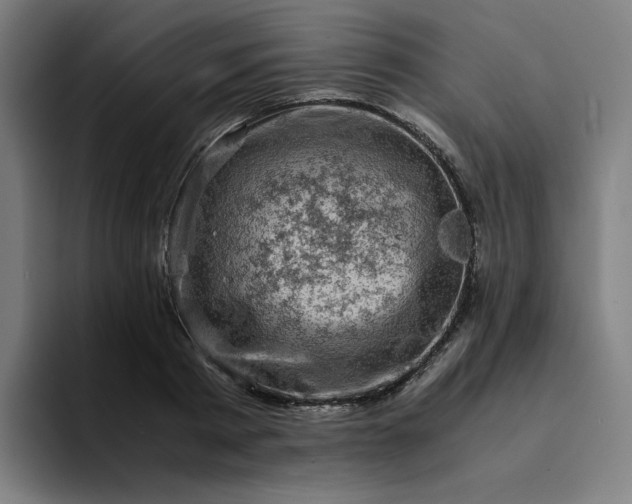 X0000094370793200711162109