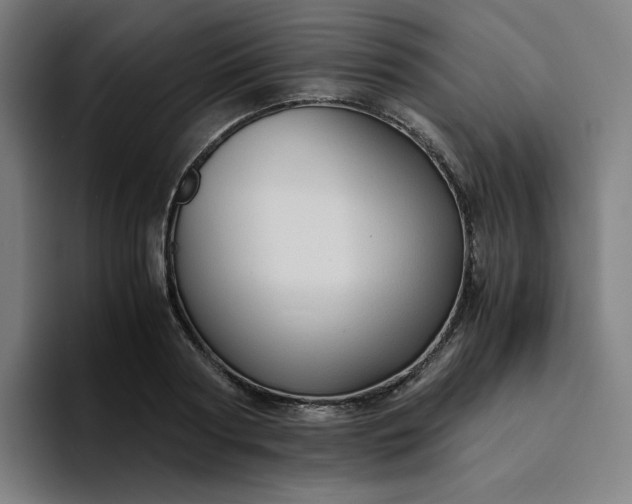 X0000094370794200711162109