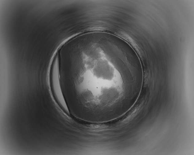 X0000094370795200711162109