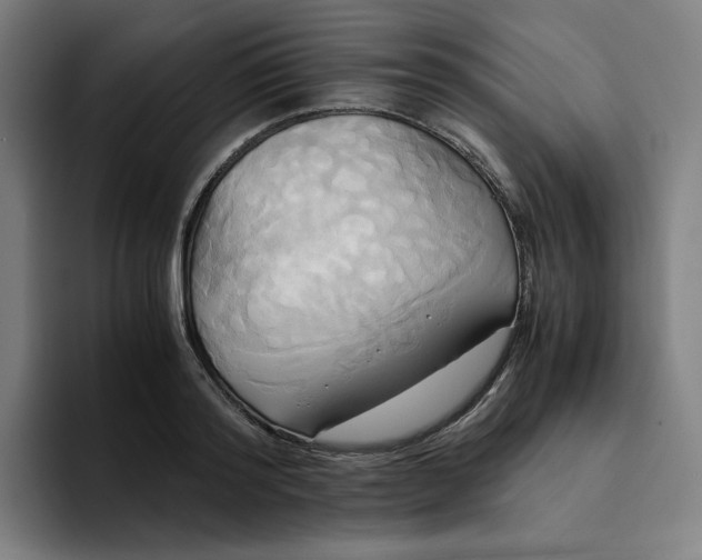X0000094370796200711162109