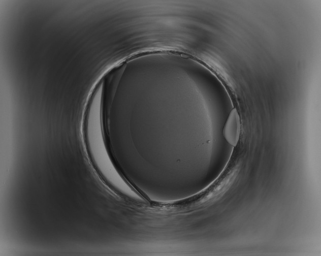 X0000094370797200711162109