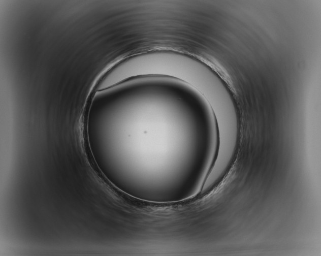 X0000094370798200711162109
