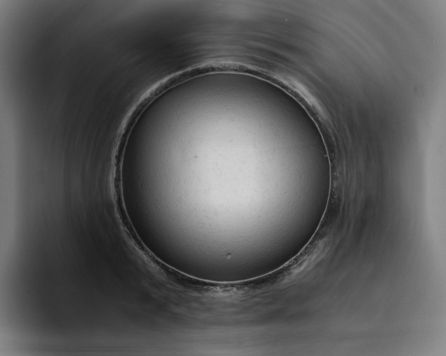 X0000094370799200711162109