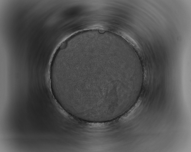X0000094370800200711162109