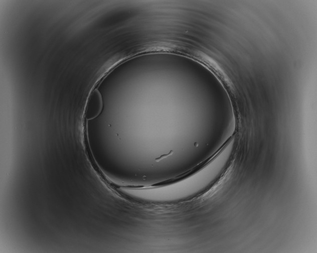 X0000094370802200711162109