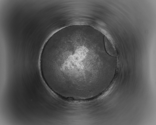 X0000094370803200711162109