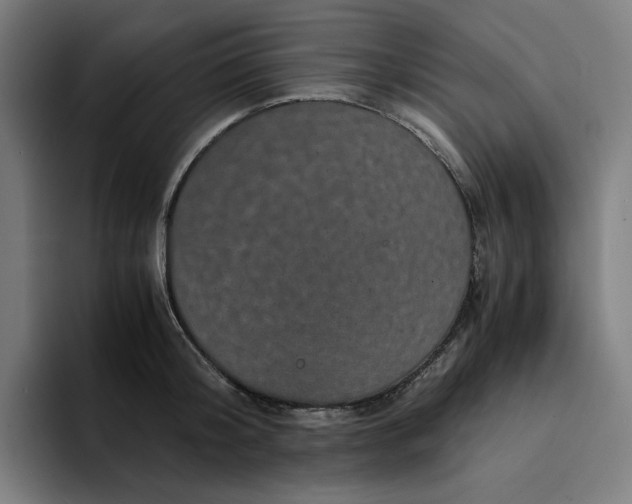 X0000094370804200711162109