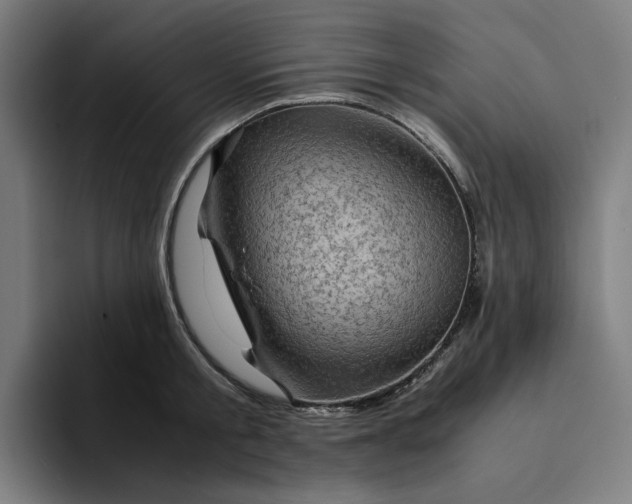 X0000094370805200711162109