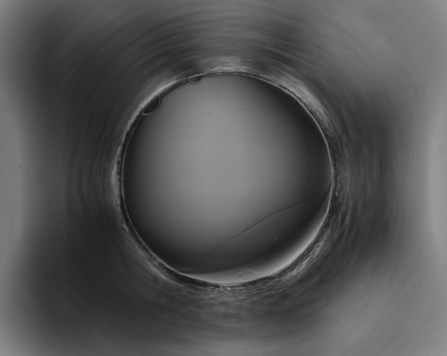 X0000094370806200711162109