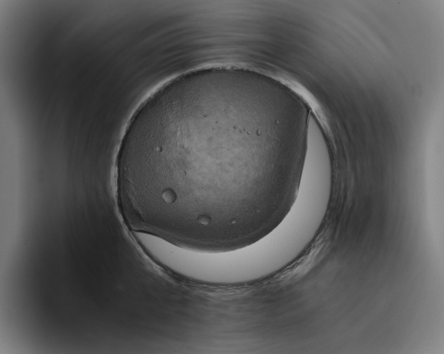 X0000094370807200711162109
