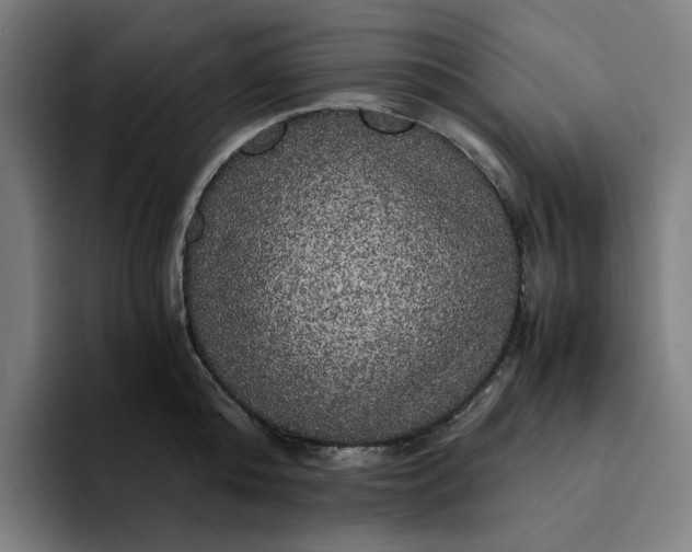 X0000094370808200711162109