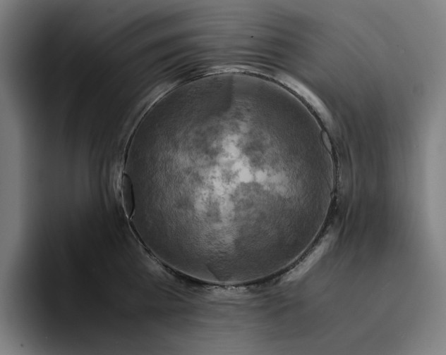 X0000094370809200711162109