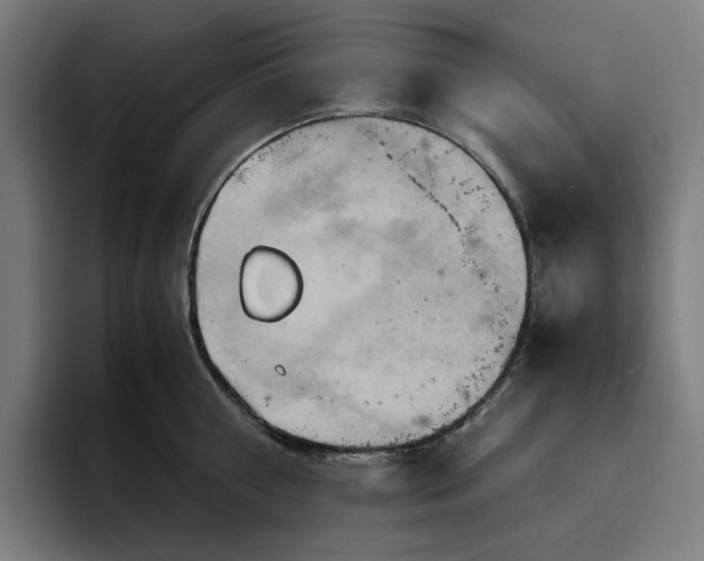 X0000094370810200711162109