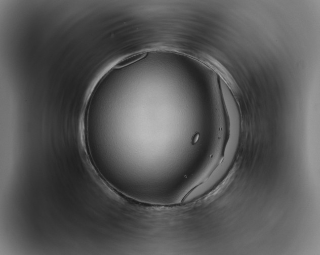 X0000094370812200711162109