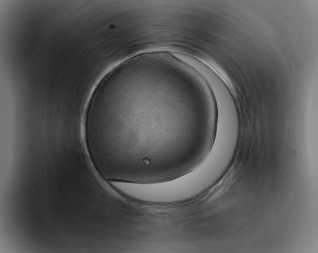 X0000094370813200711162109