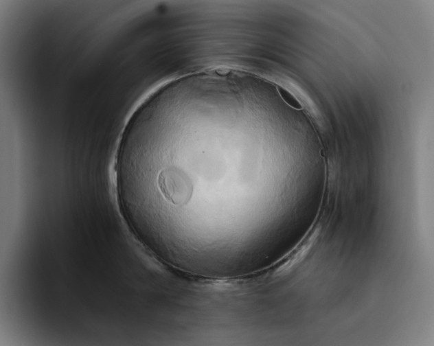 X0000094370814200711162109