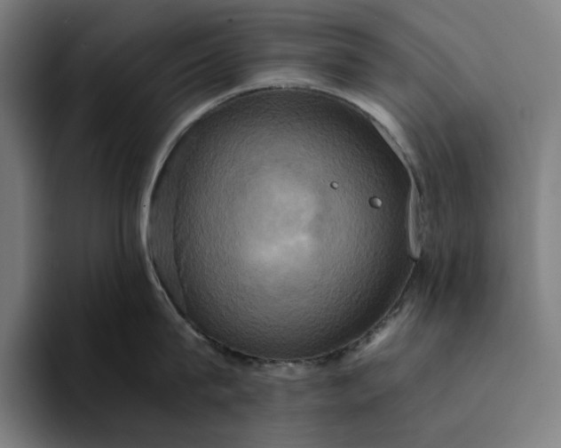 X0000094370815200711162109