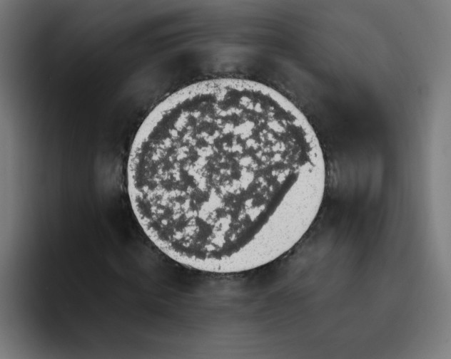 X0000094370820200711162109