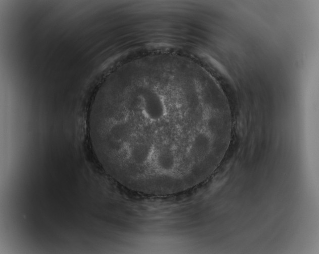 X0000094370821200711162109