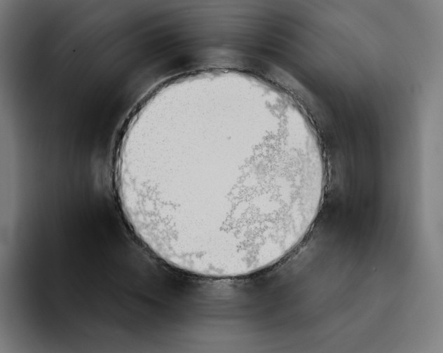 X0000094370828200711162109