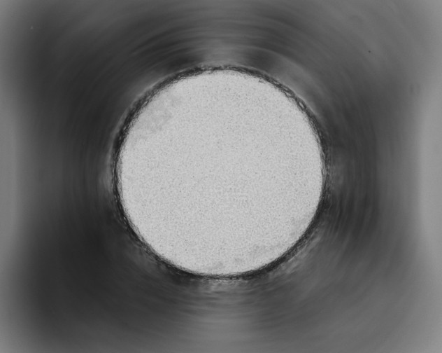 X0000094370832200711162109