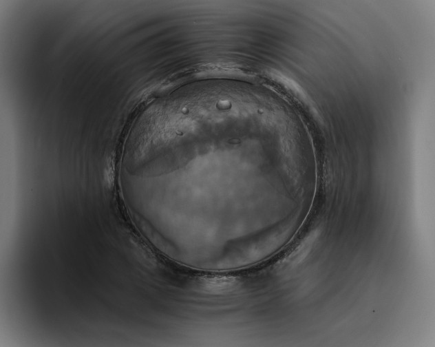 X0000094370833200711162109