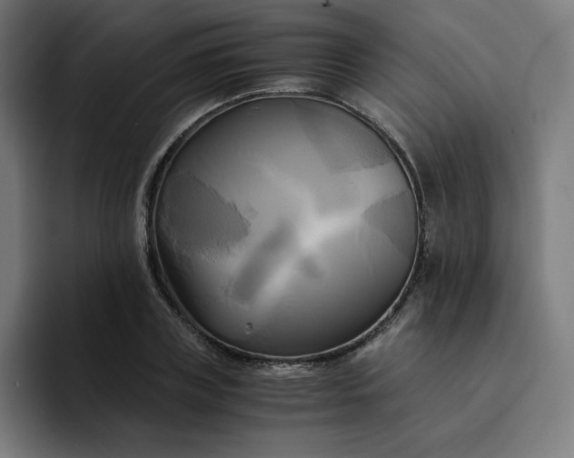 X0000094370835200711162109