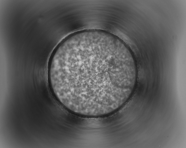 X0000094370836200711162109