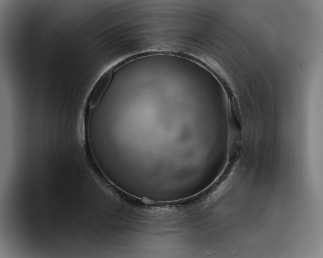 X0000094370838200711162109