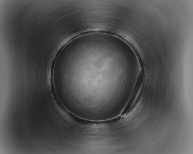 X0000094370842200711162109