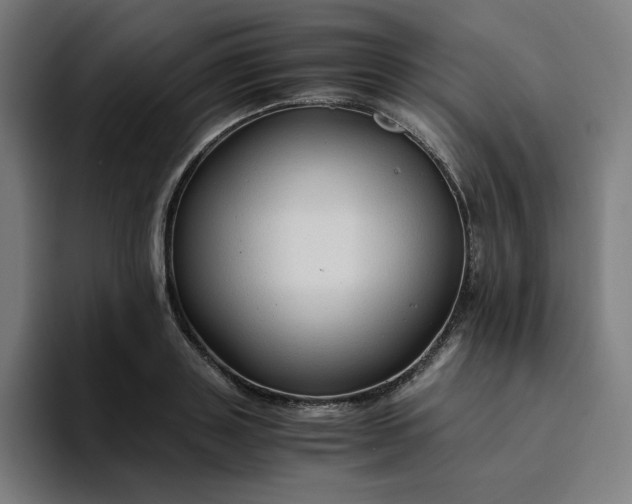 X0000094370843200711162109
