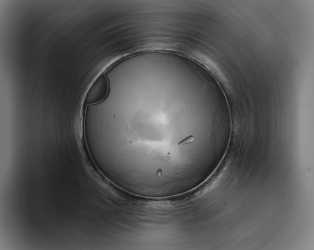 X0000094370844200711162109
