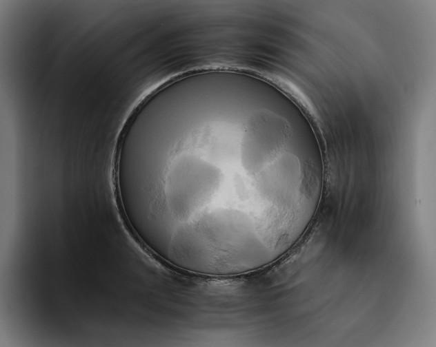 X0000094370847200711162109